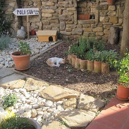 Rosandra Bed and Breakfast San Dorligo della Valle Exterior foto