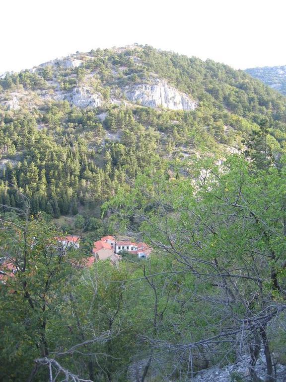 Rosandra Bed and Breakfast San Dorligo della Valle Exterior foto
